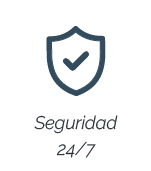 Seguridad 24/7